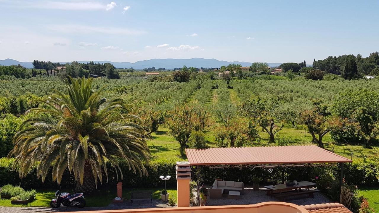 Villa Mandrioli Чечина Екстер'єр фото